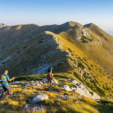 Maslenica Comfortable فندق
